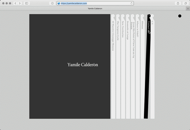 Yamile Calderon Artist Website, 2010